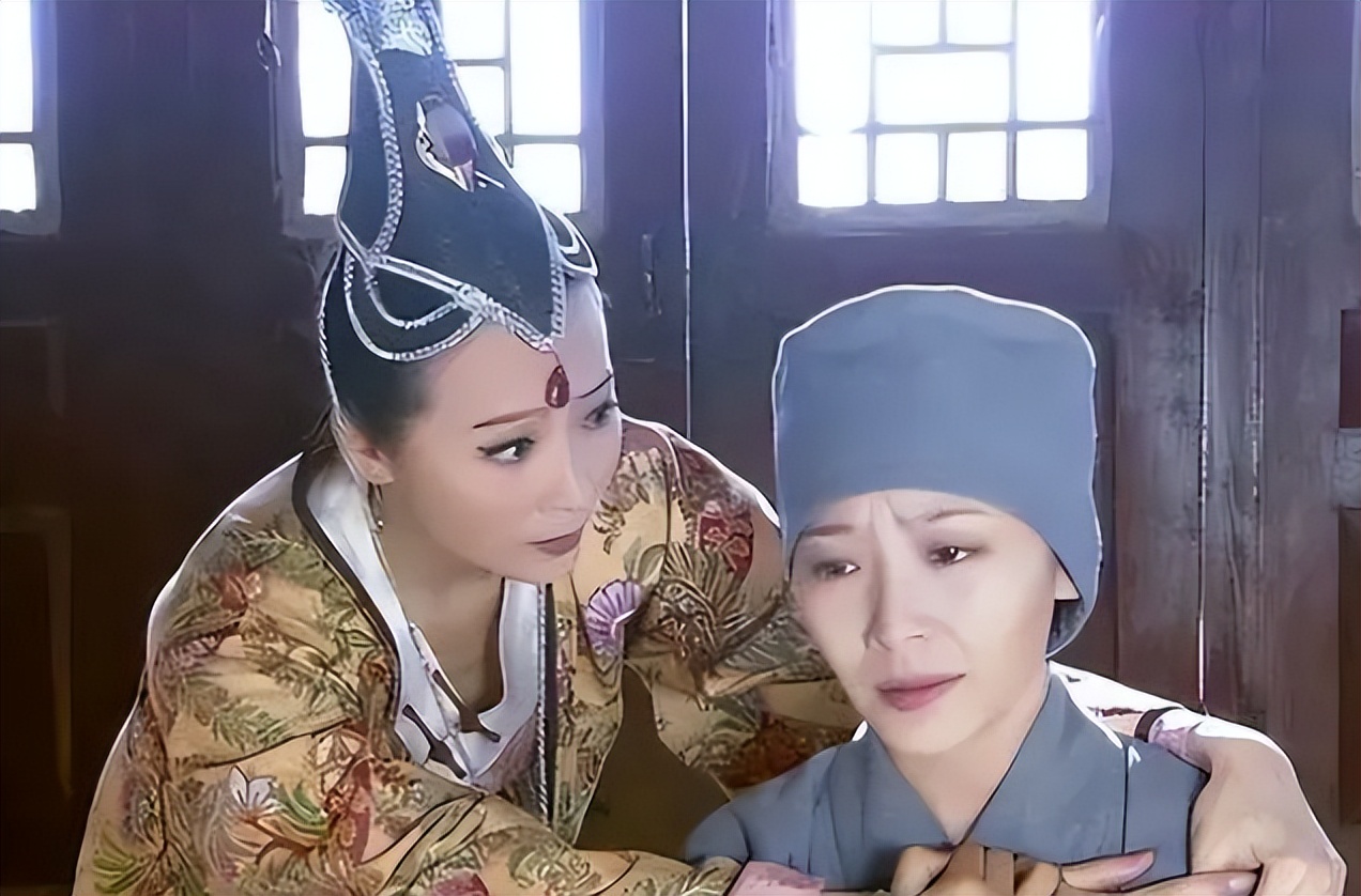 南宋尼姑双重身份曝光事件,宋朝一尼姑阴阳双体