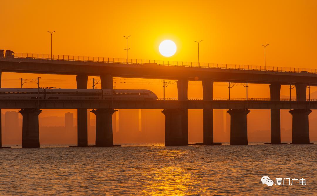 好夜色！好凉爽！夜景散步宝藏地→