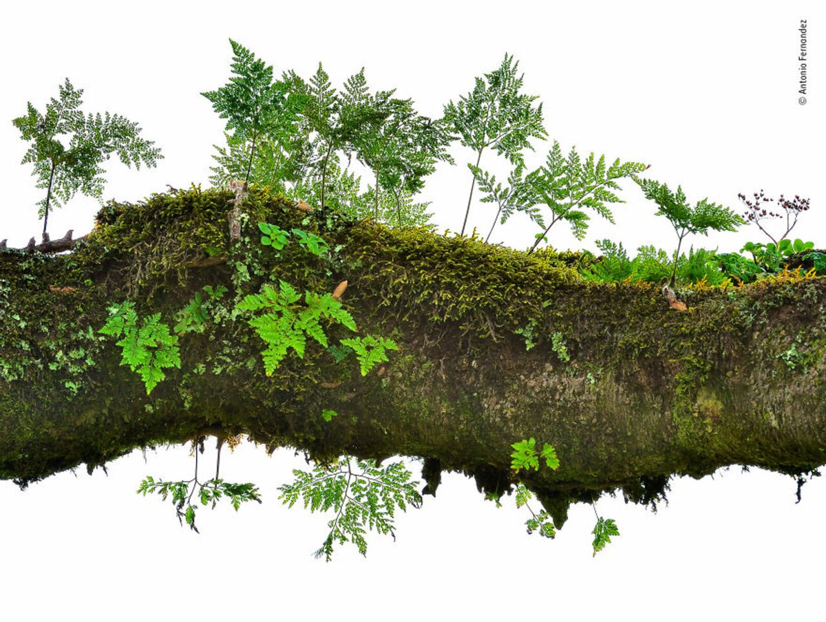 2019年最佳野生动物照片,2022年搞笑野生动物摄影作品