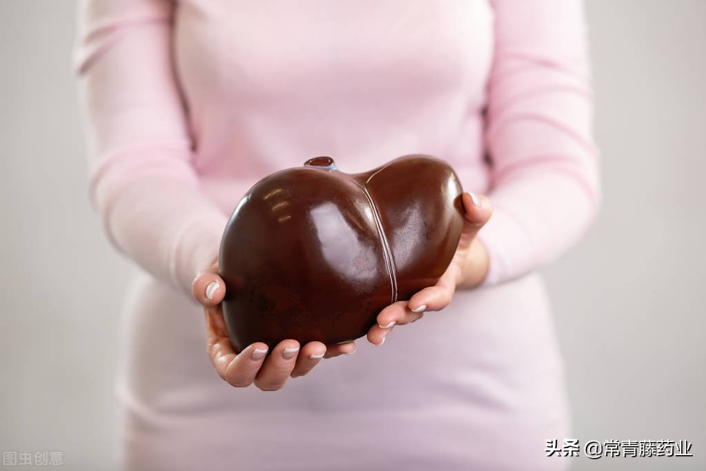 肝脏lp和gtp升高是什么,肝检查alt是代表什么