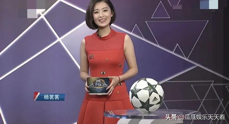 2016年世界杯央视女主持,世界杯最美4大女主持人