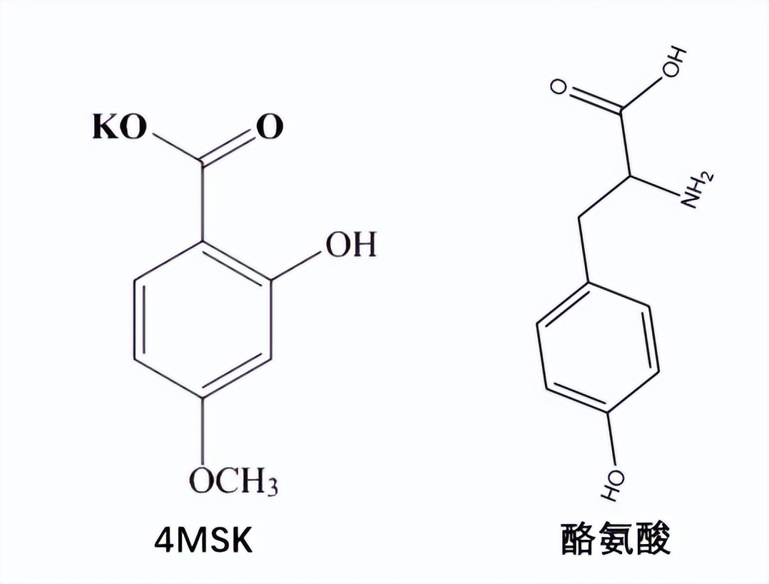 大牌平替真的能买吗,大牌平替到底值不值得买