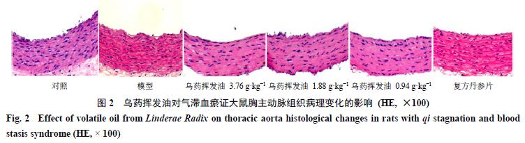 乌药有活血化瘀作用吗,寒凝气滞乌药