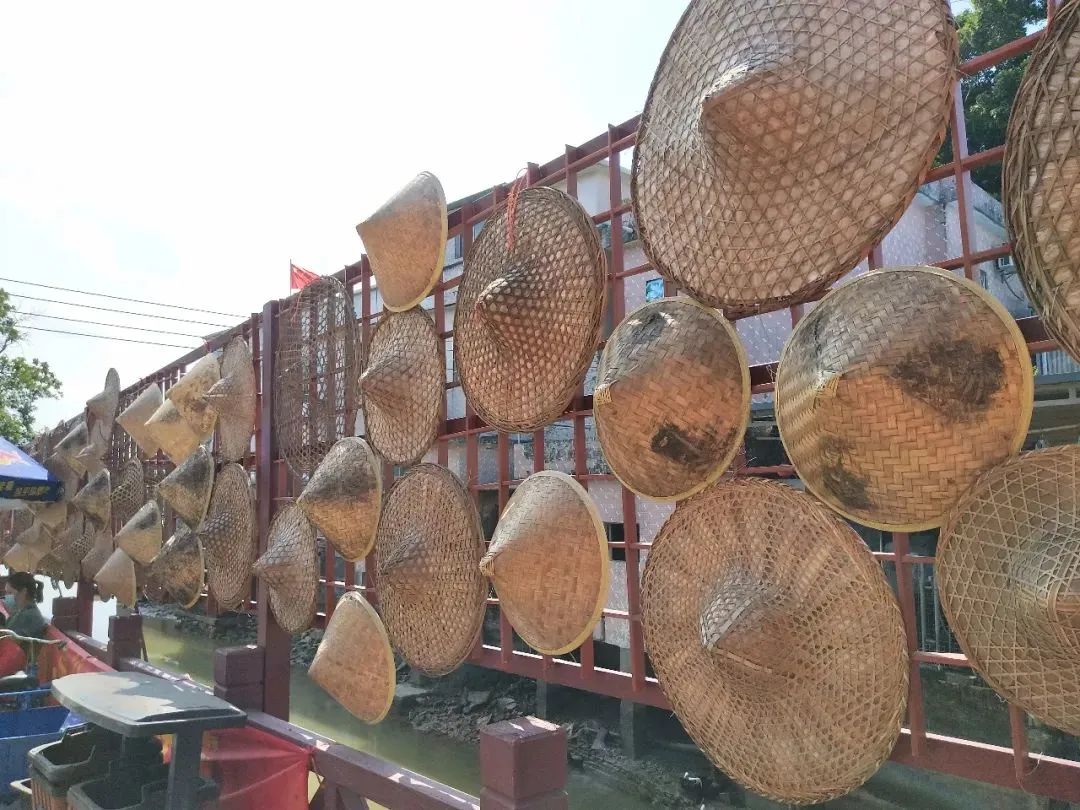 广州出发江门旅游攻略,江门石板沙环岛游