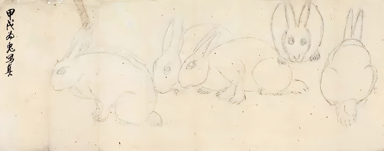 齐白石笔下富贵的牡丹,齐白石写意兔子