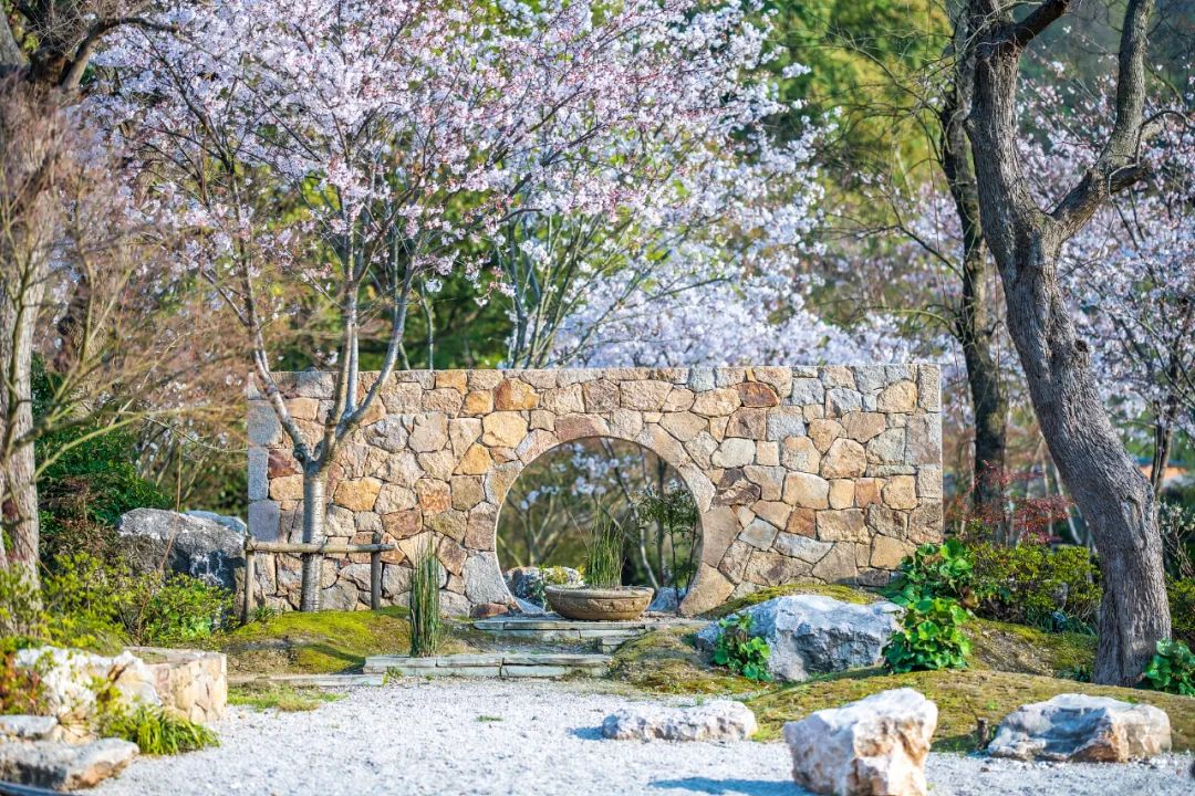 梦华录破亿预告片,刘亦菲梦华录在哪里