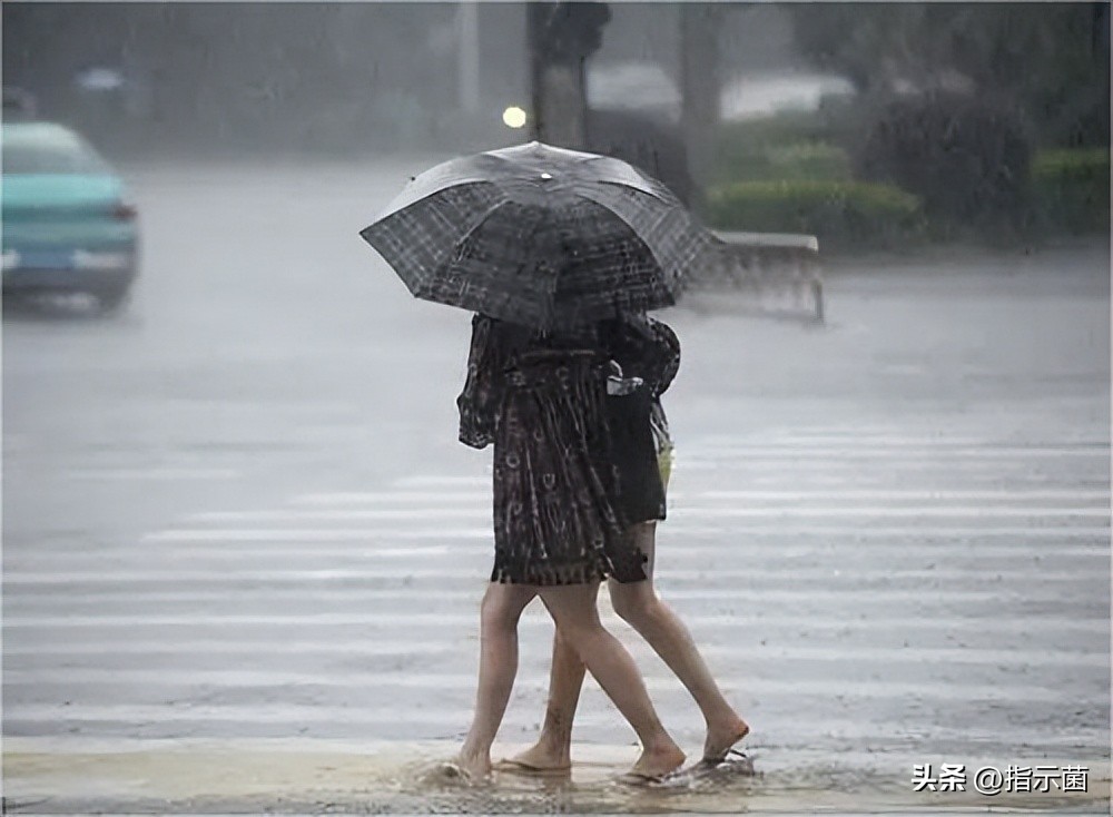 蓝黑色塑料拖鞋不要买,发臭加脚气病,你想要?