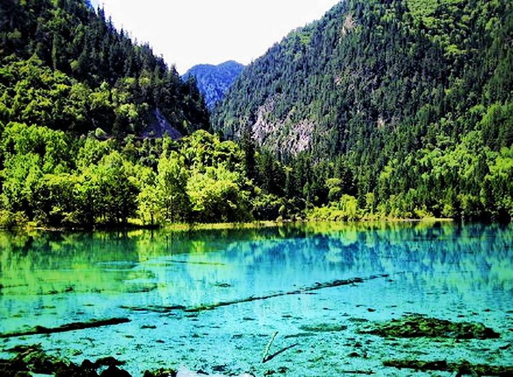 碧水逶迤湖色映九寨，银河泻影山水傲溟渤美篇制作：刘嘉国