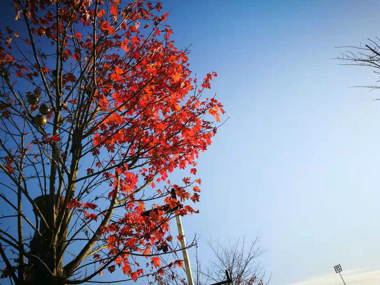 株洲市阳光新城,株洲魅力新城全景
