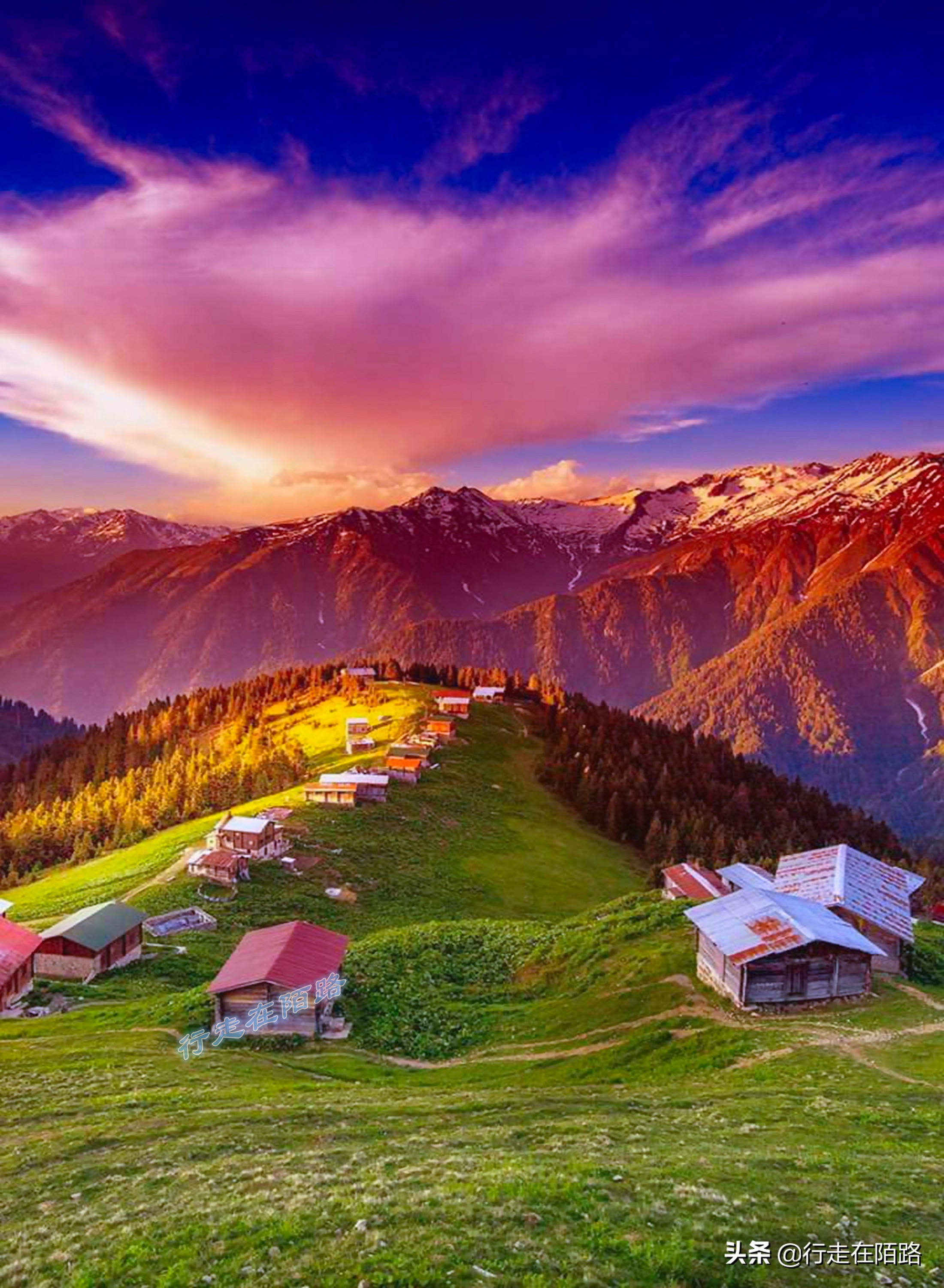 土耳其人茶文化,土耳其中文向导