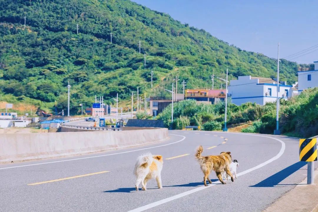 舟山最值得去绝美海岛推荐,舟山值得去的海岛