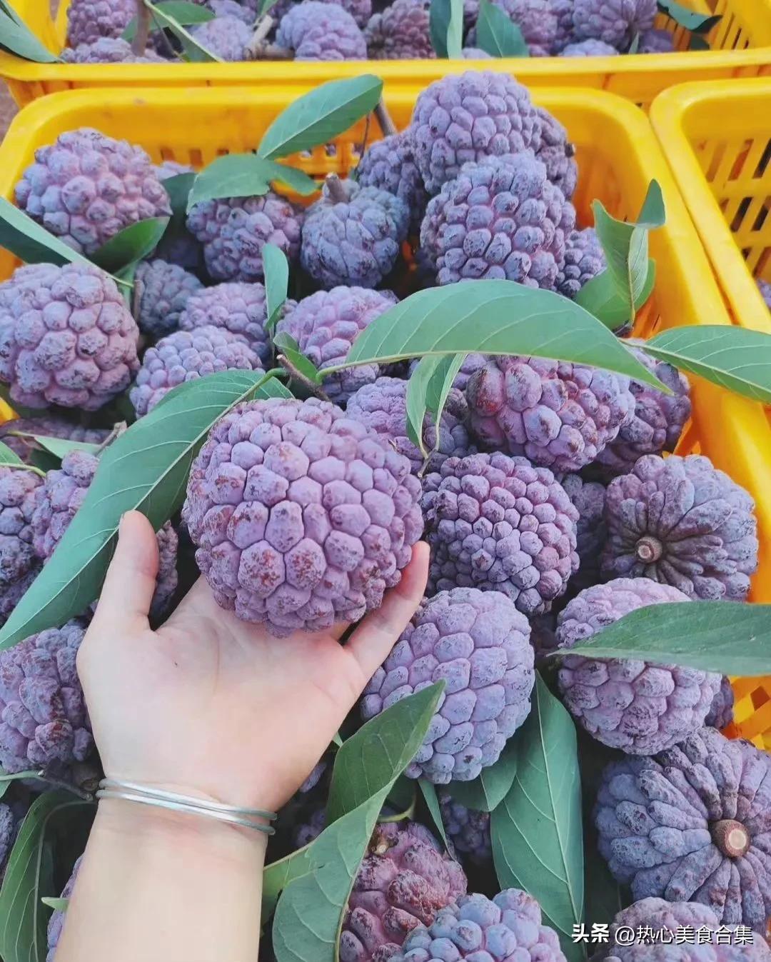 奇葩水果你见过但你肯定没吃过,奇葩水果图鉴你能认得出几种呢