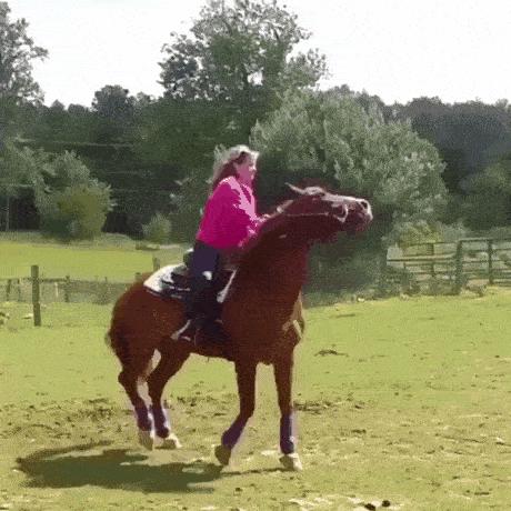 搞笑趣图：抓了一只变异神兽，不知道什么时候可以化成人形