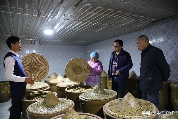 太湖县电商龙头企业,安徽太湖电商
