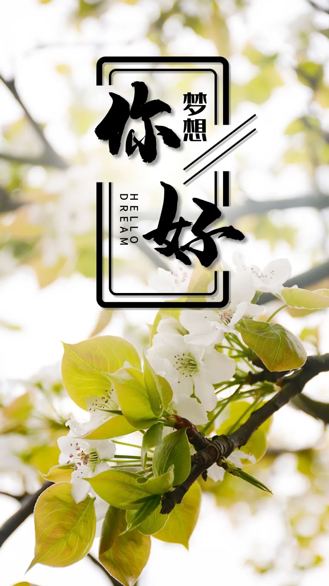 早安语录正能量朋友圈短句子图片,早安心语图片2022