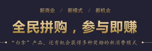 拼团全返模式怎么做,全民拼购商业模式的一些架构玩法