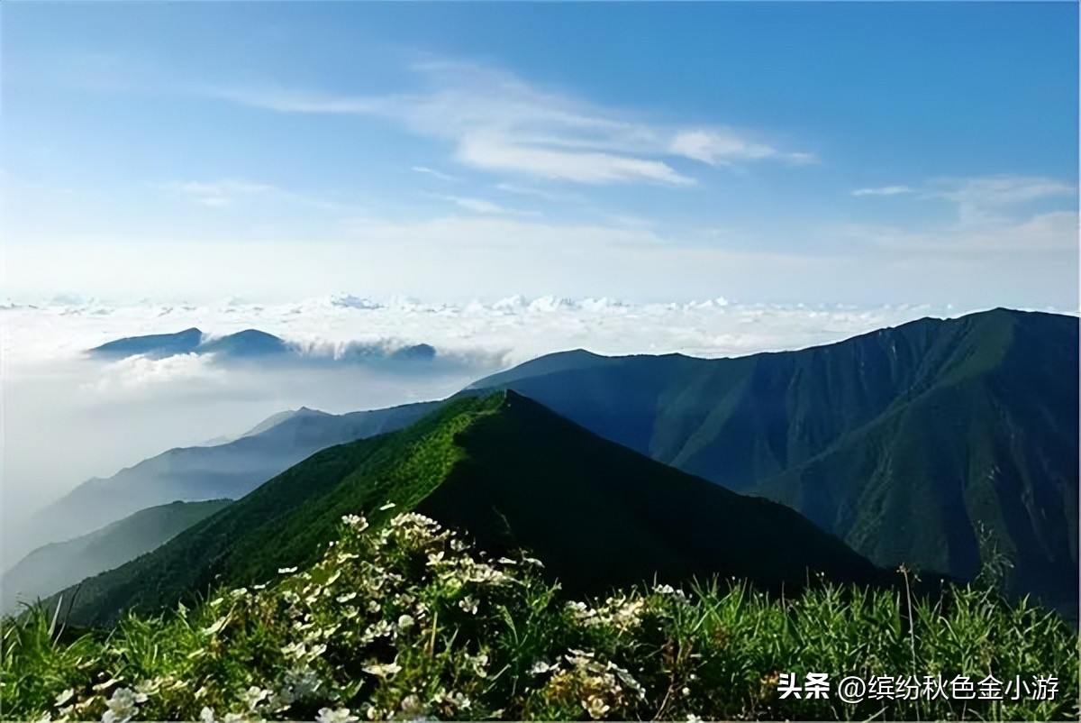 张家口周边自驾游一日游,张家口市内好玩的地方推荐一日游