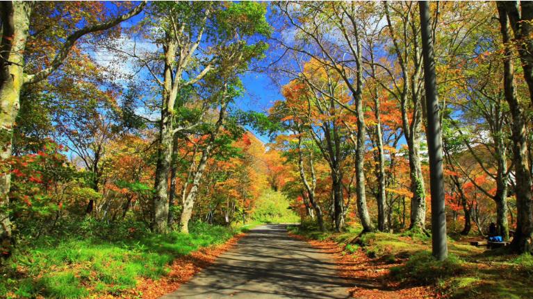 云南旅游少了什么景点,云南旅游的火爆程度