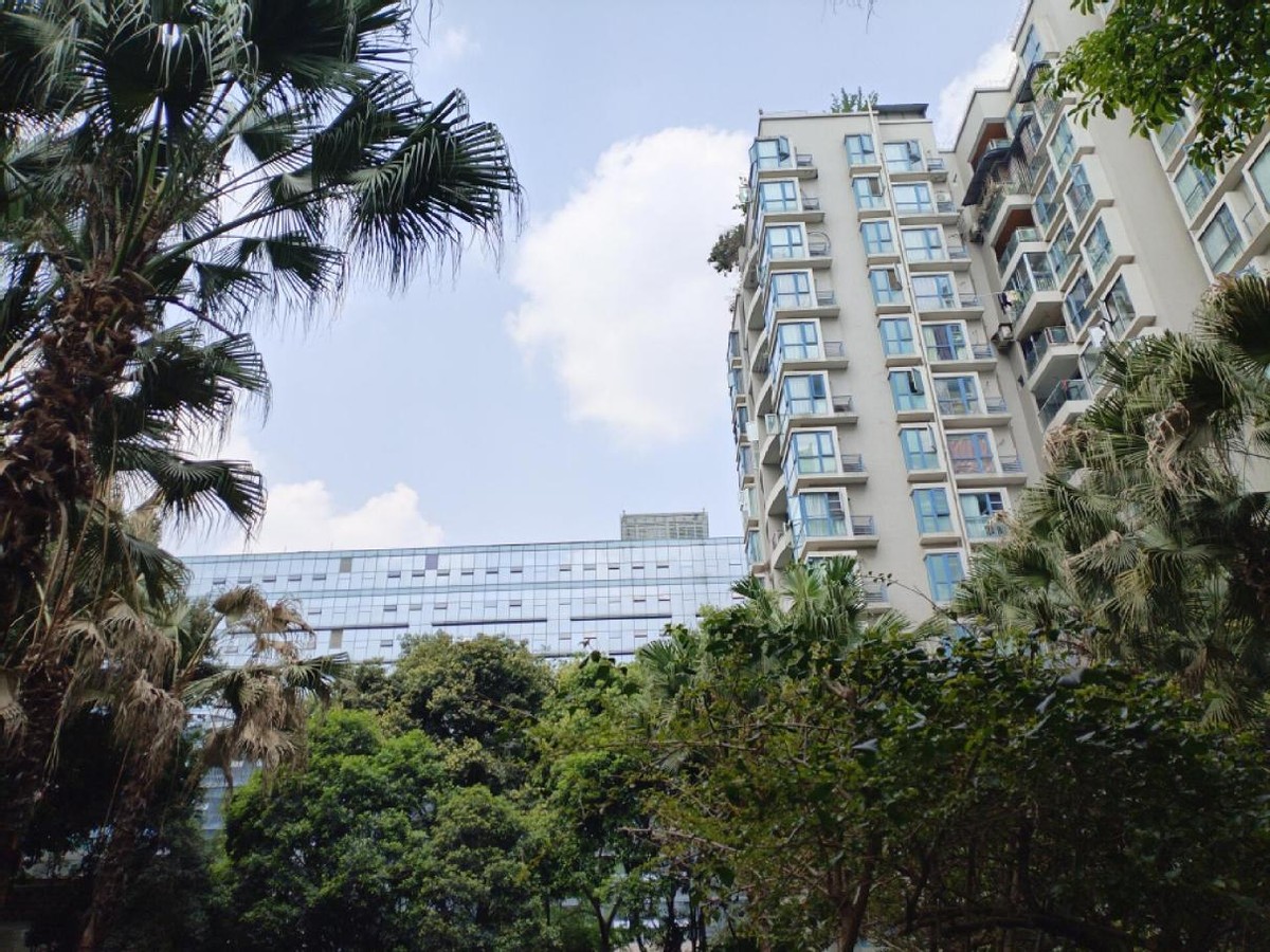 华为7000毫安大电池鸿蒙手机,华为7000毫安电池手机畅享60x