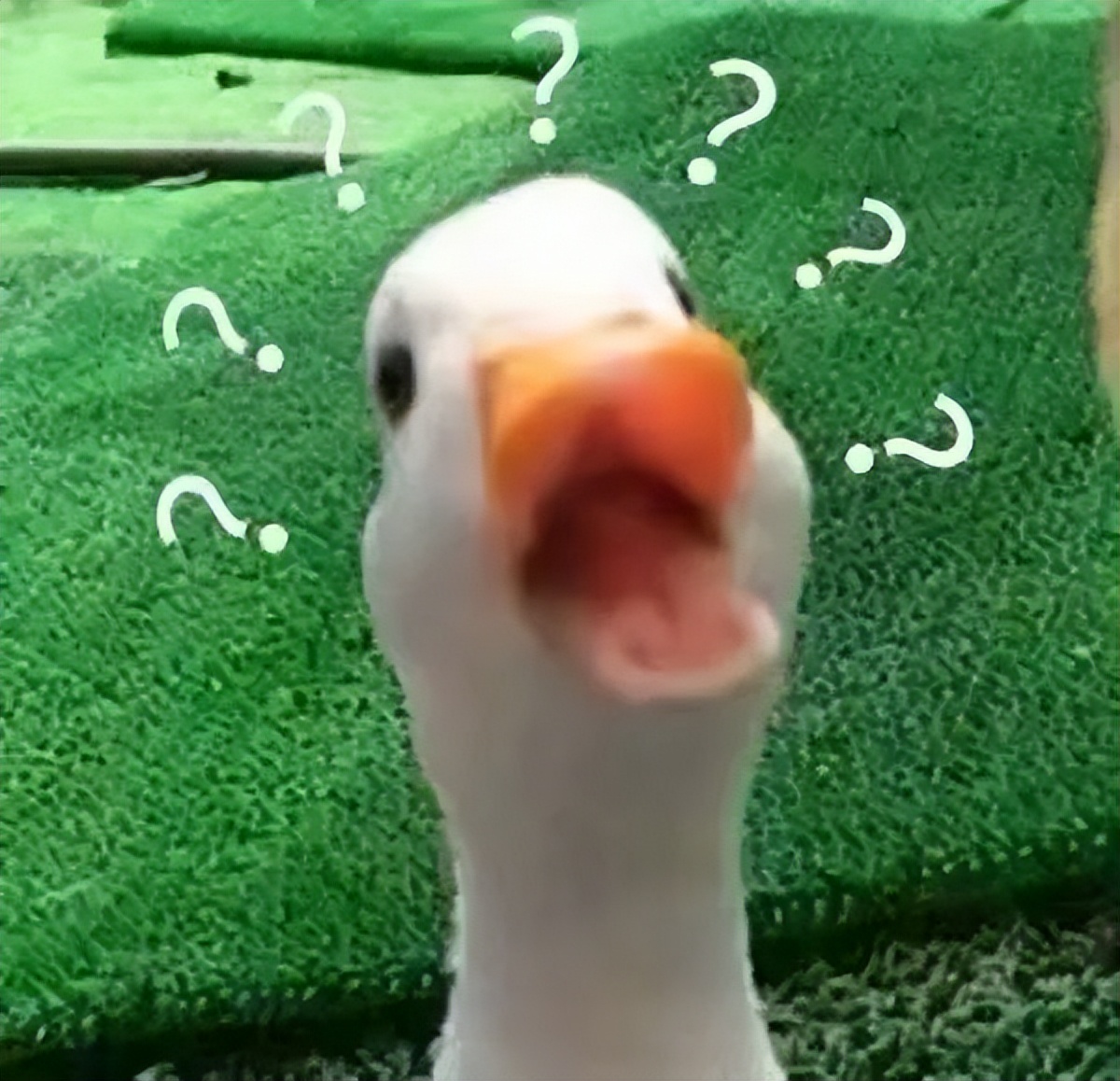 澳洲留学生出门必备物品,澳洲留学生回国带酒攻略