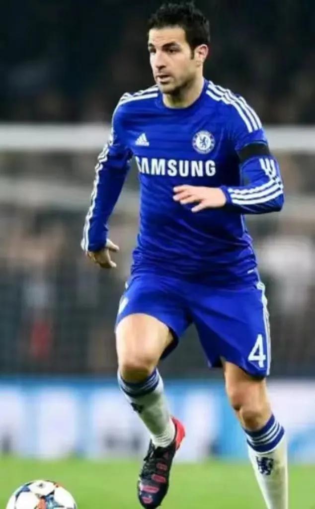 法布雷加斯足球生涯,塞斯克集锦