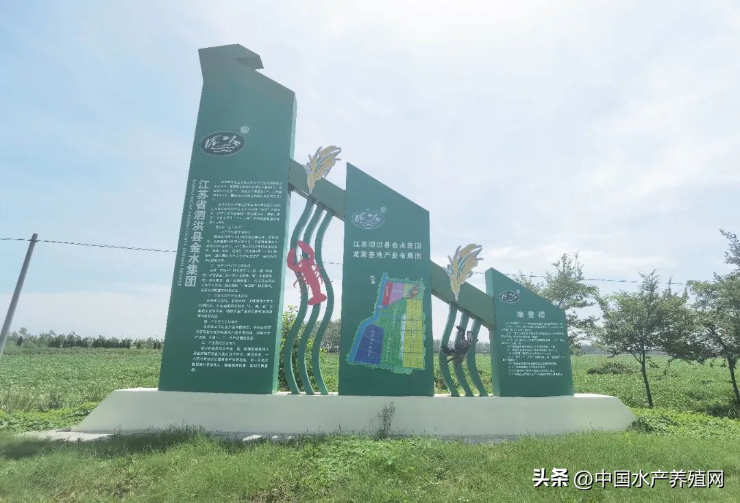 江苏螃蟹基地,探访阳澄湖螃蟹养殖区