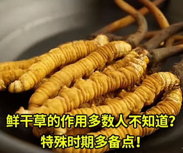 前海人寿姚振华现状,前海人寿老板姚振华有风险吗