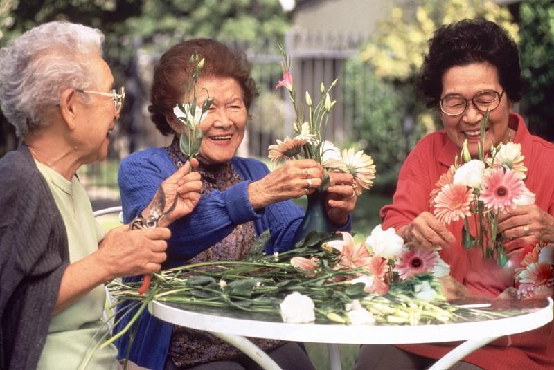 7个闺蜜花400万造房一起养老,5个闺蜜200万同居养老