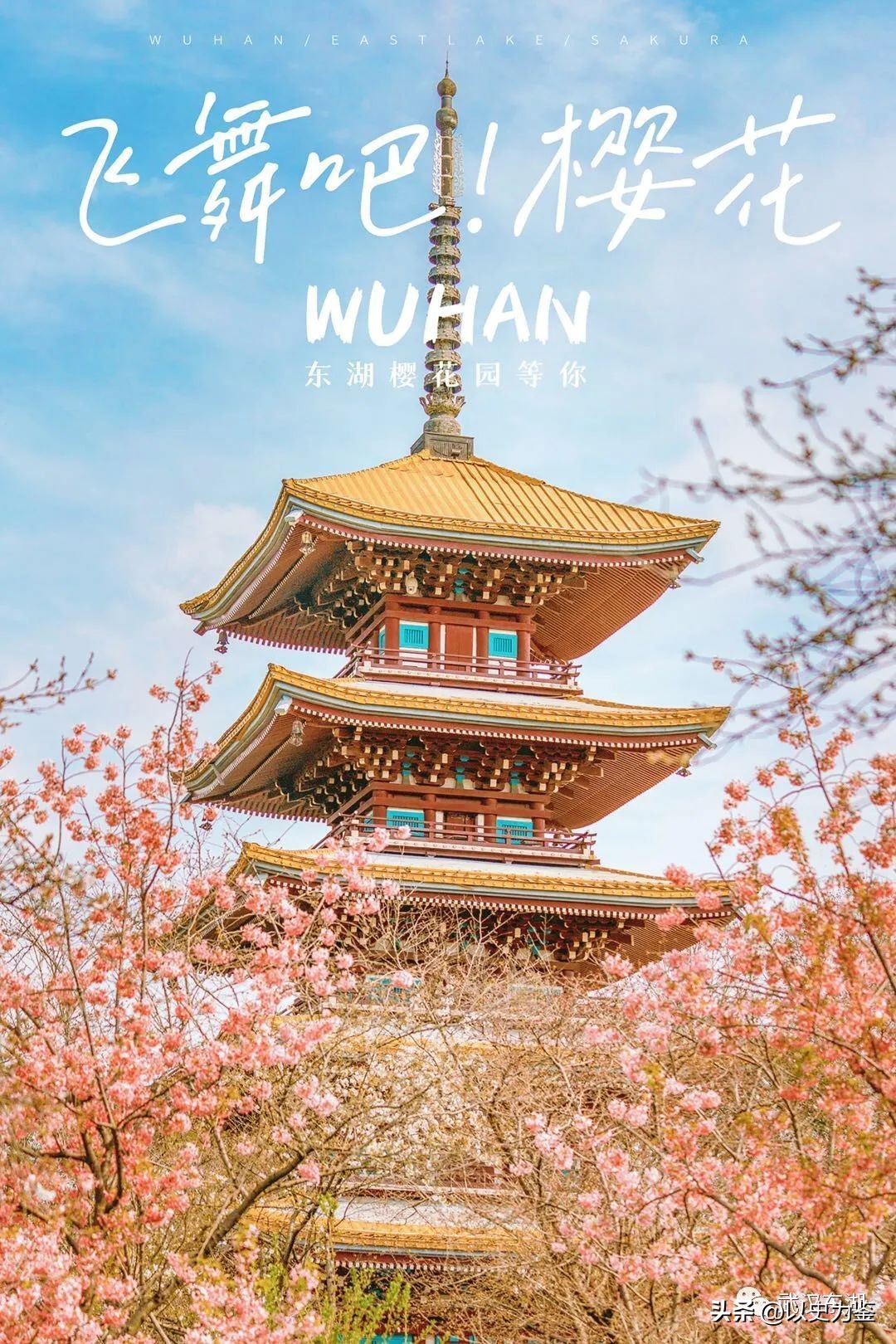 为什么日本有樱花节呢,日本为什么有樱花节呢