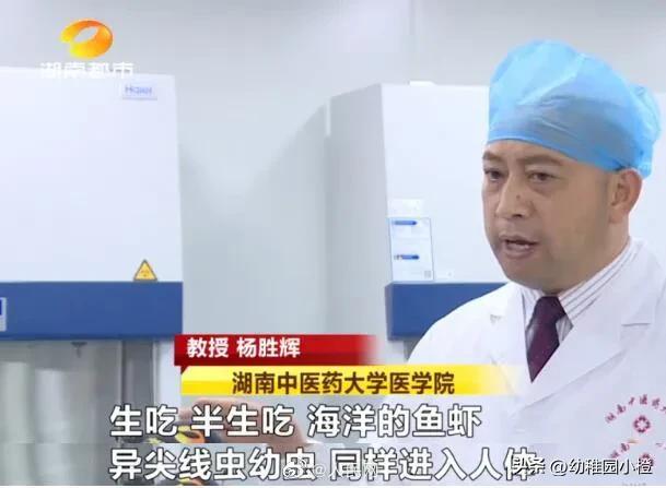 女子体内排出4米长绦虫是什么,宁德女子体内排出4米长绦虫