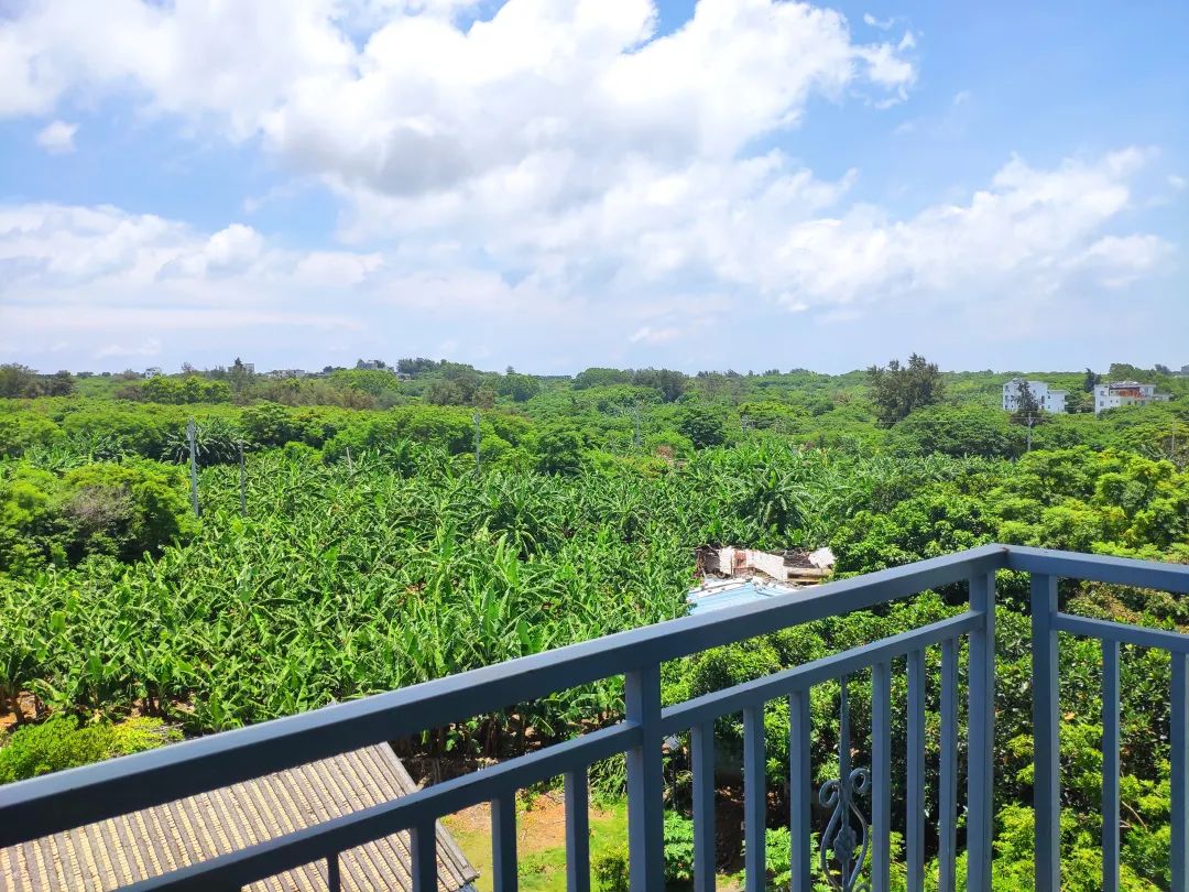 北海涠洲岛避坑全攻略,北海涠洲岛旅游风景几月去最好