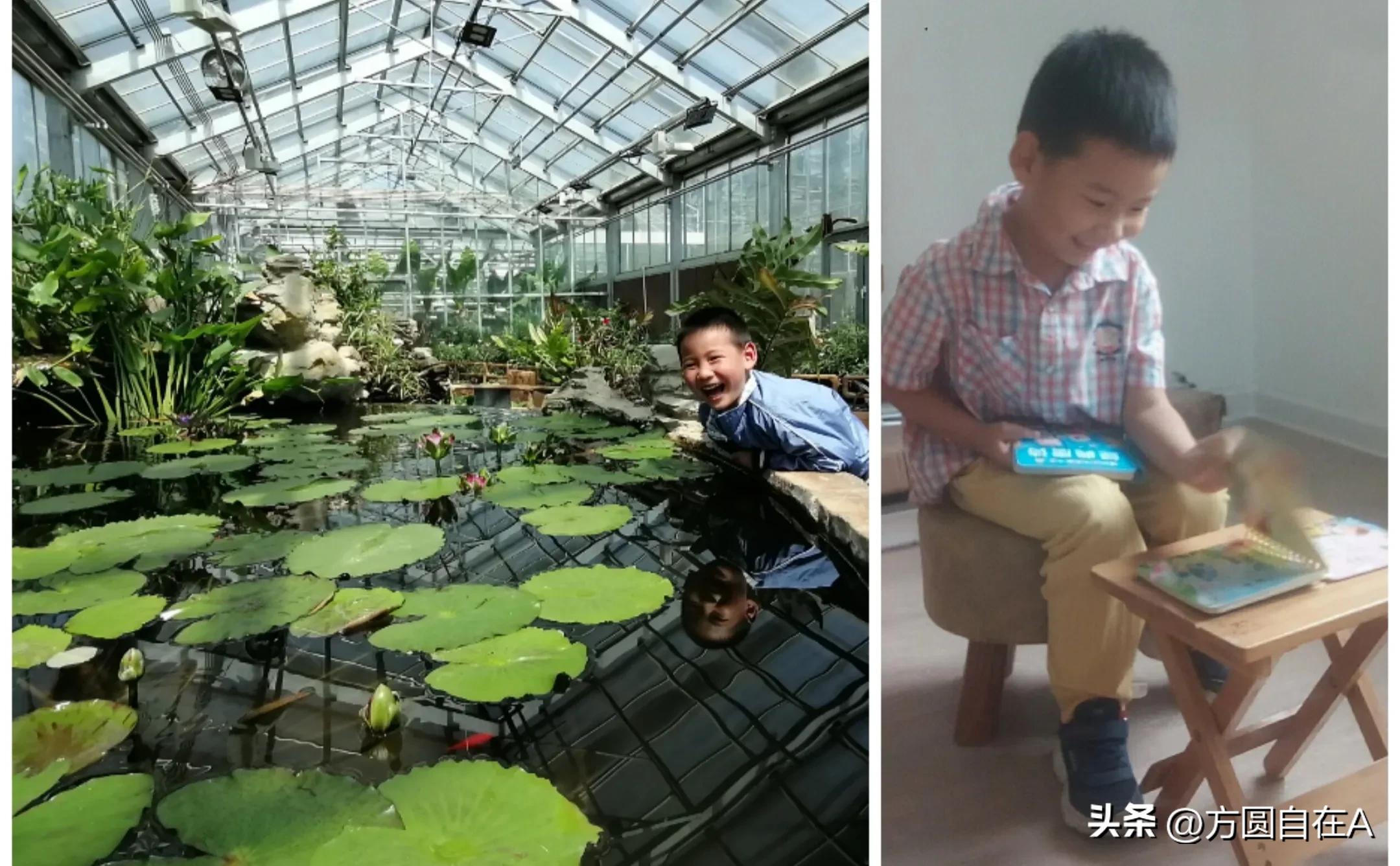 我的读书故事经历,成年人读书故事