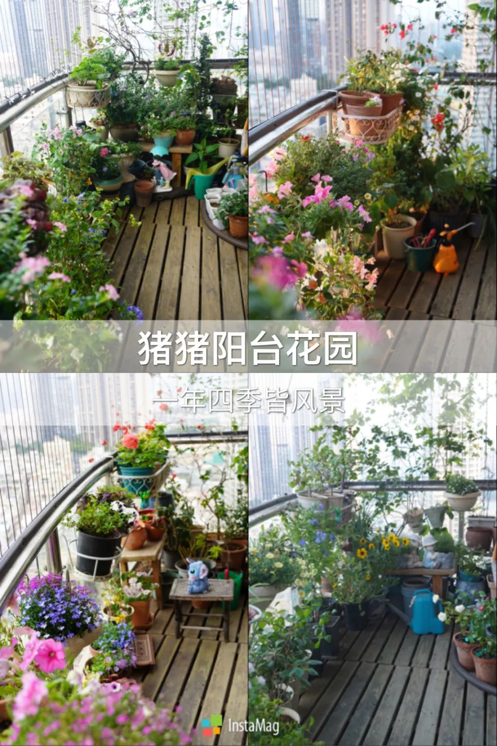 很多人羡慕的阳台,让别人羡慕的阳台