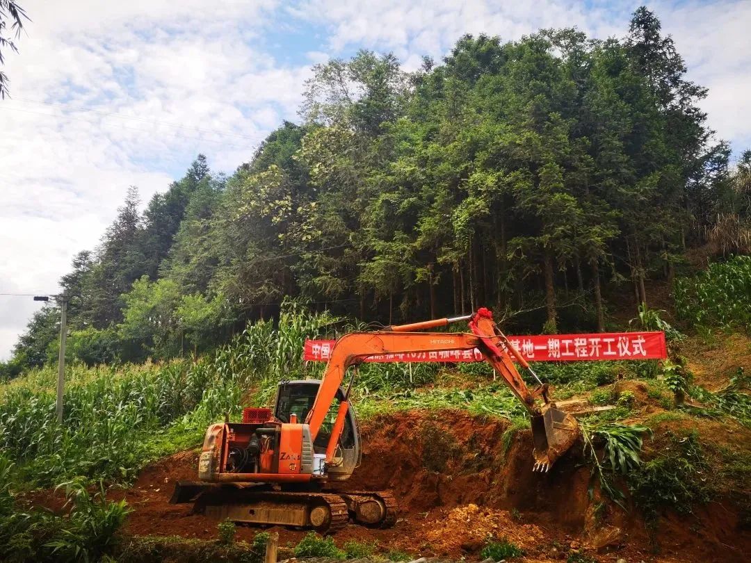 猫啡实业有限公司：看好河口发展前景，坚守河口市场