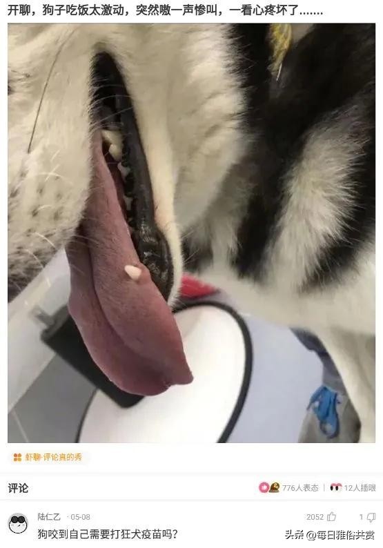 【盐选神回复】这样了要不要叫醒他呢？