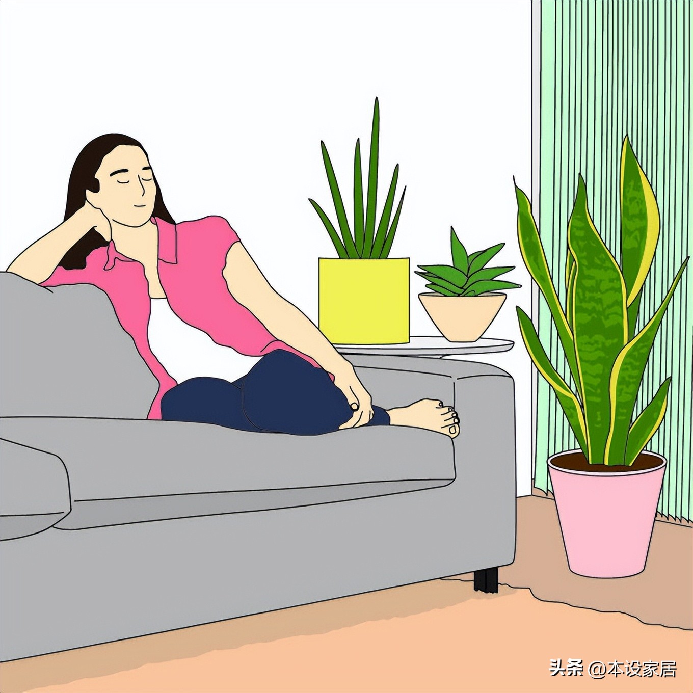 吸甲醛净化空气的绿植和花有哪些,室内净化空气用什么绿植最好