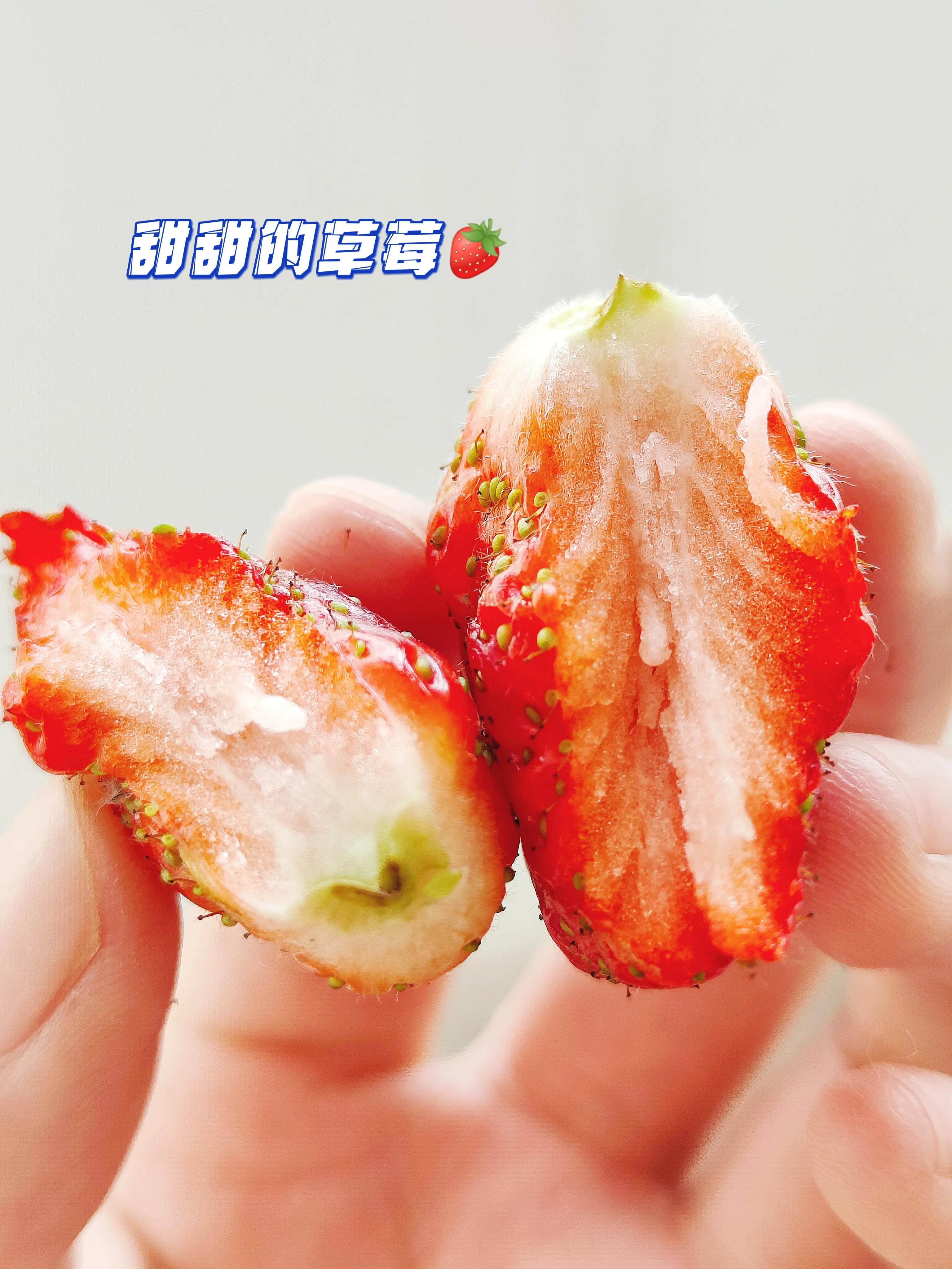 大四女生的一天,大四女生在校日常