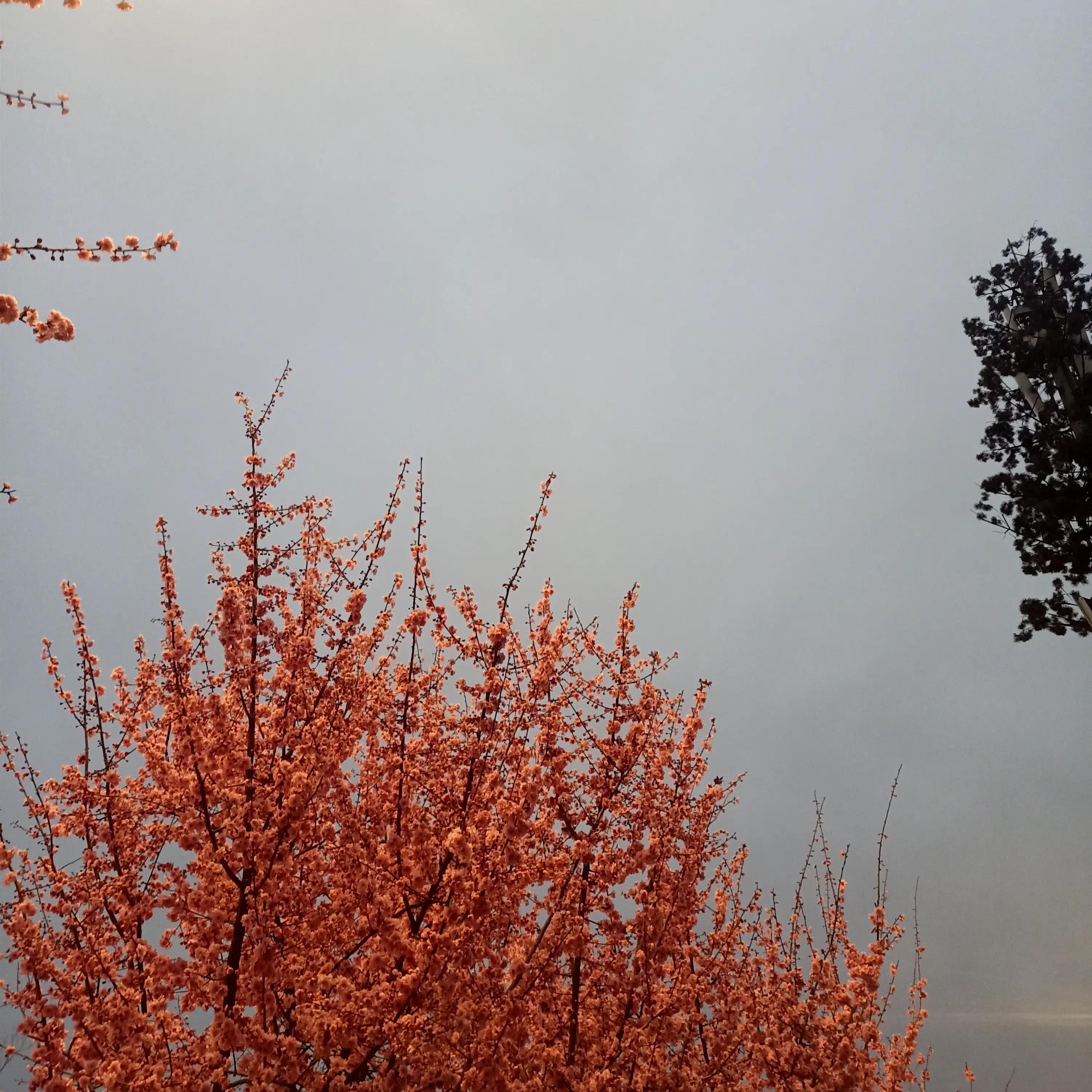 最美的城市应该是:帅哥如林、美女如云