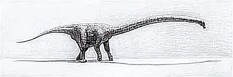 恐龙时代泰坦巨龙与雷龙,泰坦巨龙恐龙化石