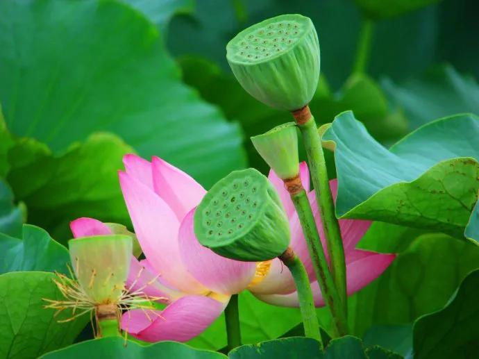 春树的人生格言书籍,人生书籍里的经典语录大全