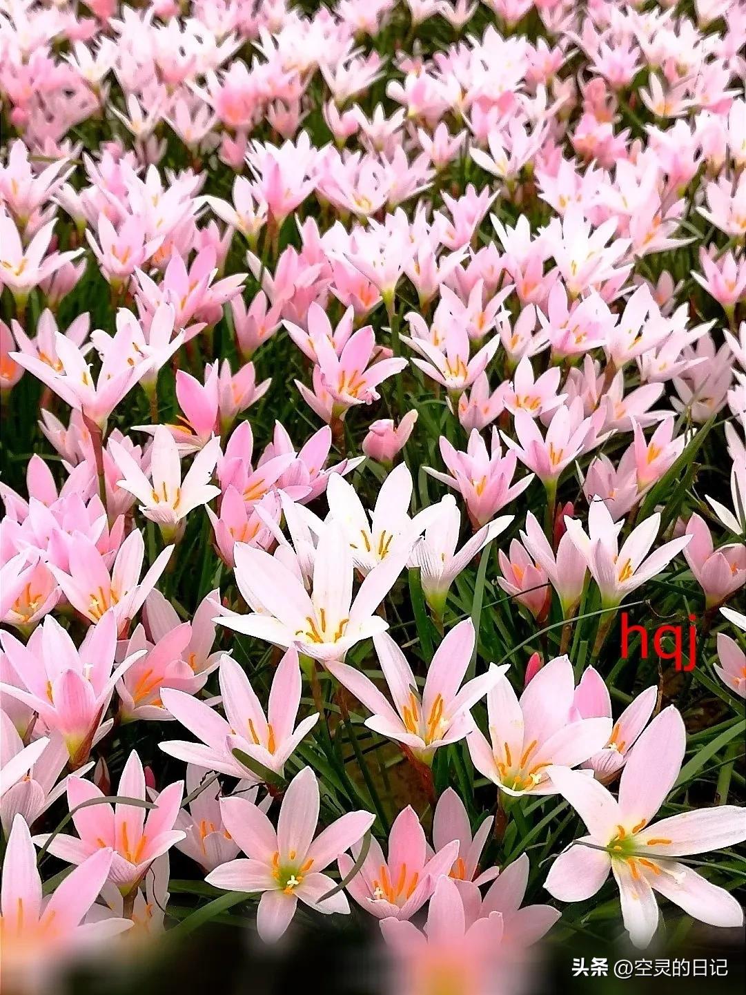 濡備綍鎵嶈兘鐪嬭浣犵殑瀹归,鎬庝箞鐪嬩綘鏄惁婕備寒