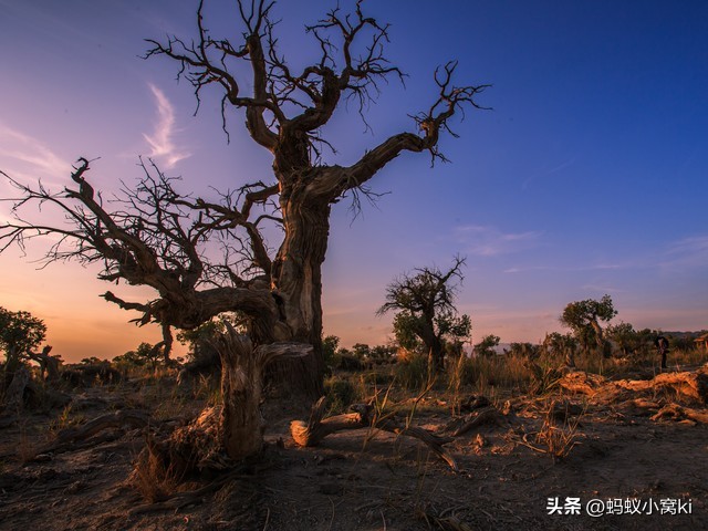 世界五大沙漠,内蒙古九大草原五大沙漠