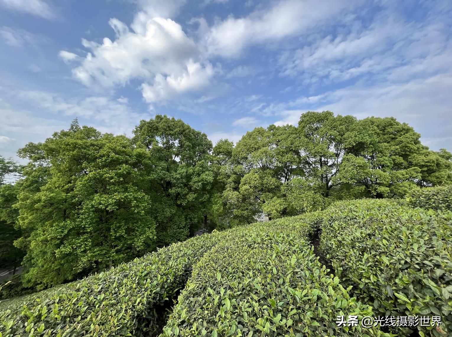 永川茶山竹海风景区门票优惠政策,永川茶山竹海2021年旅游日免费吗