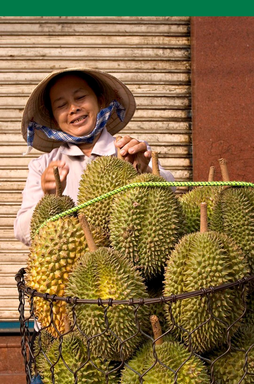 中国进口榴莲种植,中国市场所有榴莲都是进口的吗
