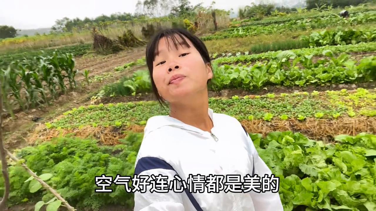 在湛江没文化能找到什么工作,在湛江没有学历找什么工作