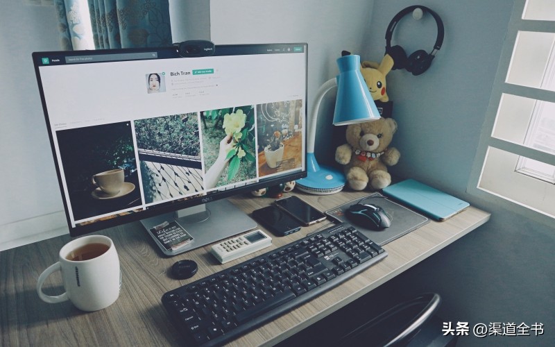 免费搭建cms网站,cms定制网站