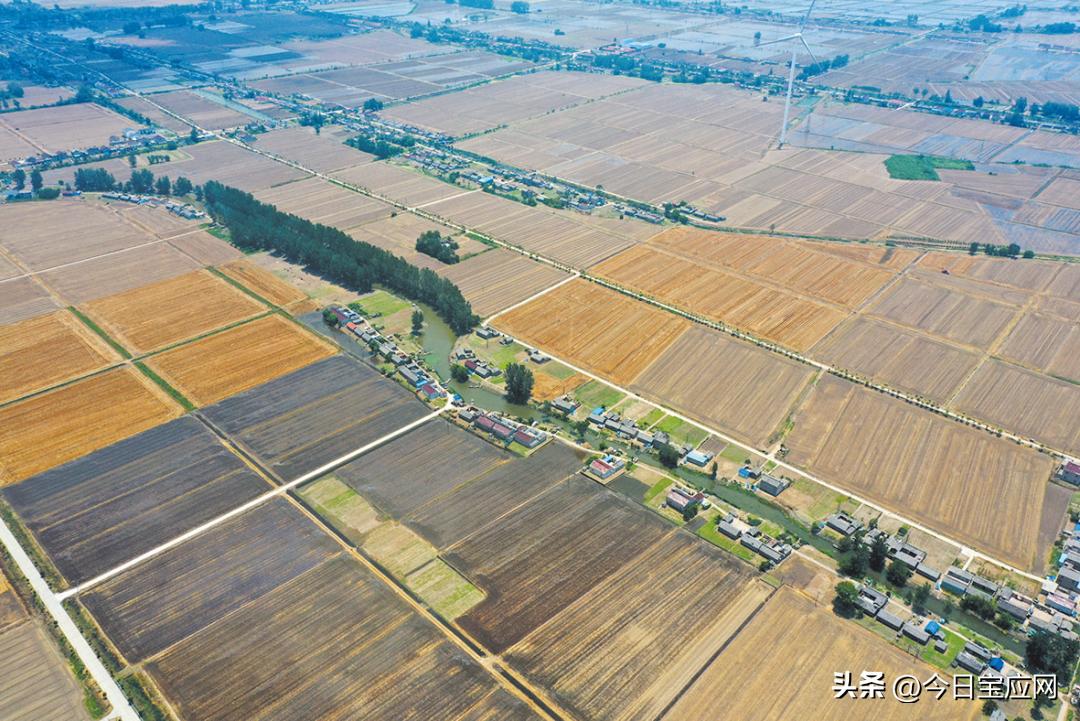 50年了!宝应山阳这里迎来大变化