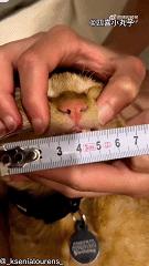 无聊图集20221126足球反着买，别墅靠大海