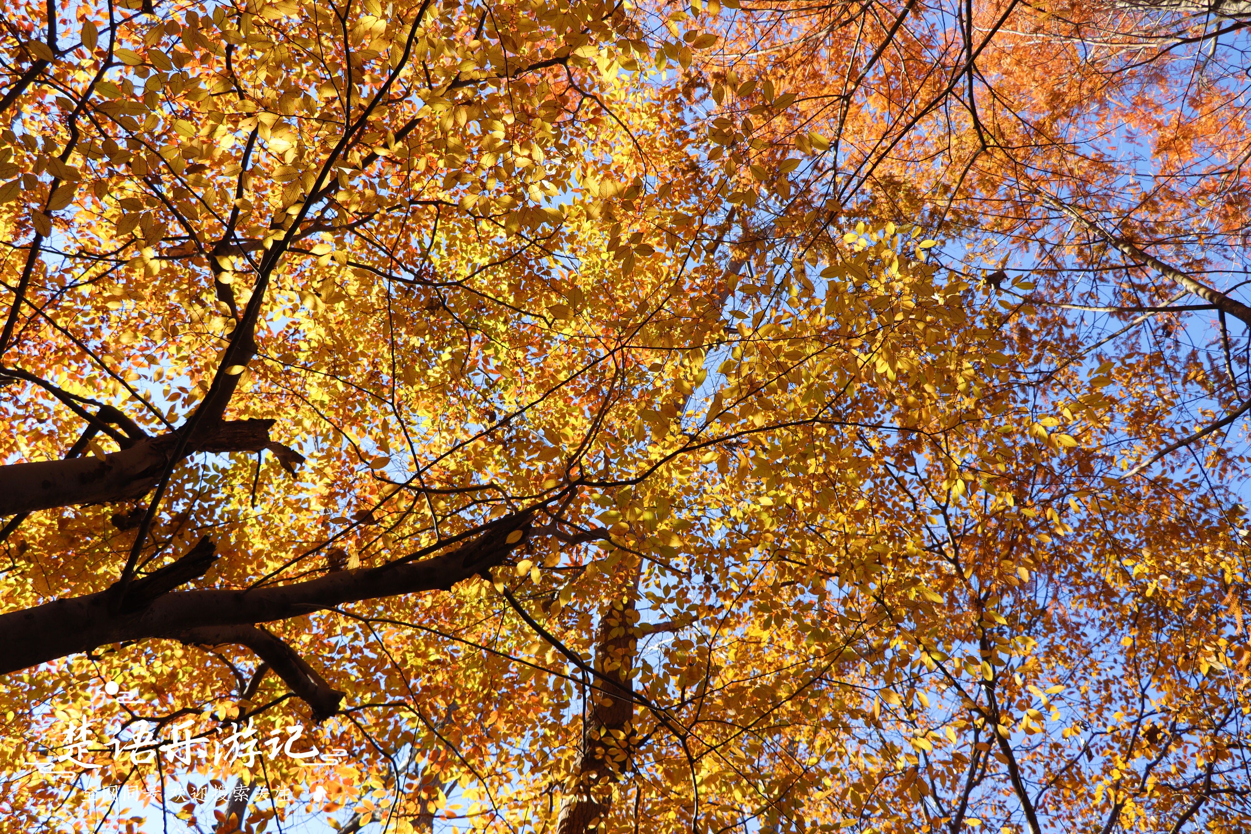 宁波地铁旅游攻略必去景点,宁波地铁直达的旅游景点