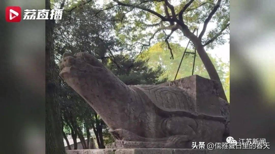 伤心！南京灵谷寺明代龟趺脖子被游客蜡熏黑或不可逆损伤